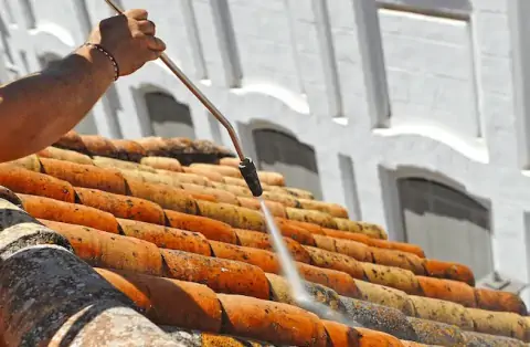 Nettoyage de toitures - Grilly